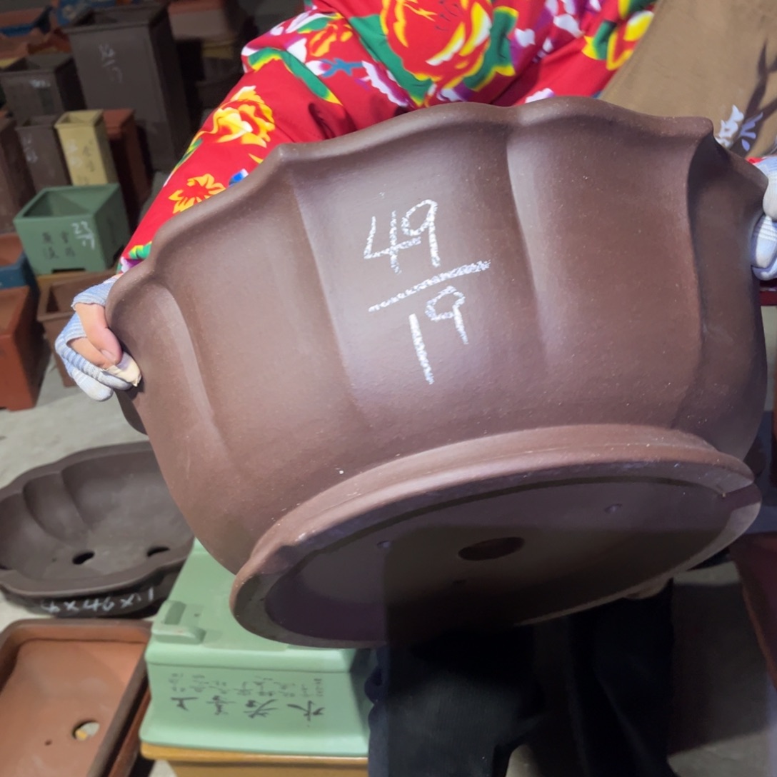 紫砂花盆盆景艺术