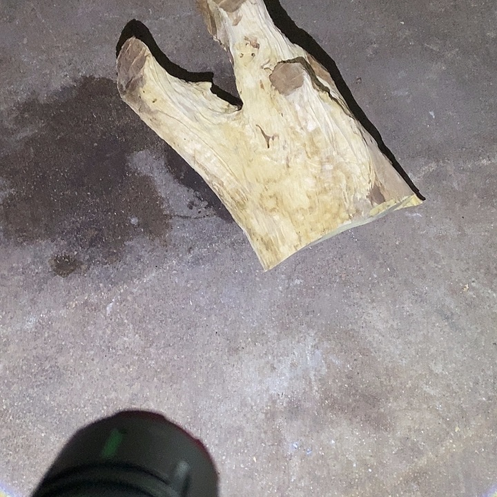 林***魁楠木（金丝楠）其他