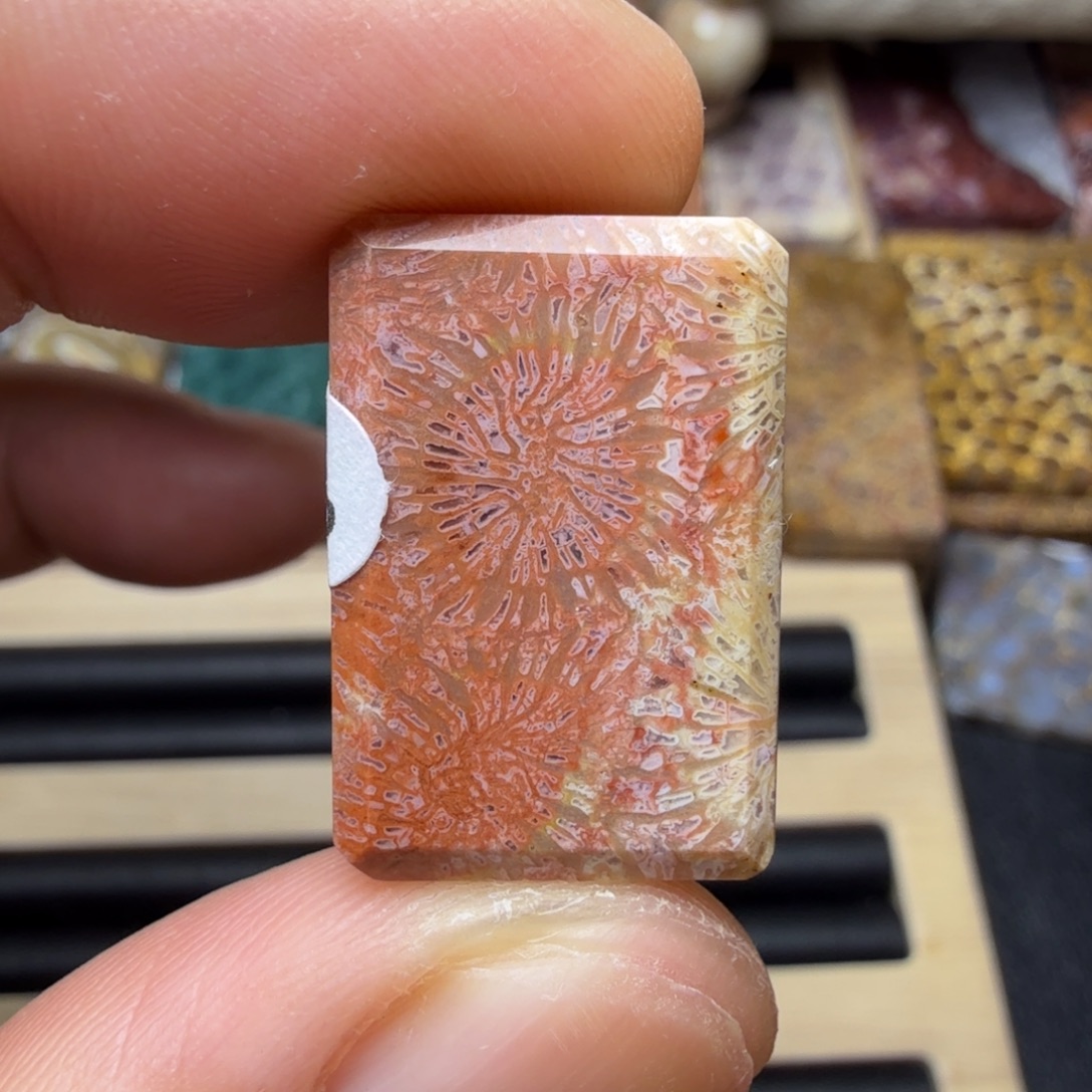 硅化玉未镶嵌纯天然色有机玉石保真色瑕疵特价不退换