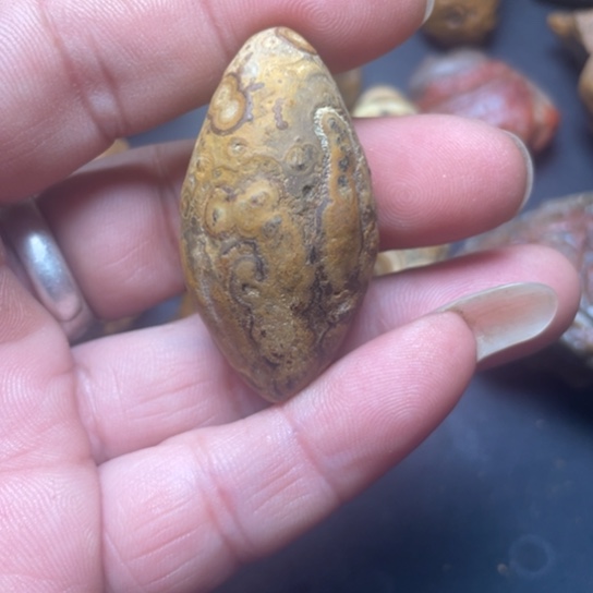 石材纯天然原石奇石219