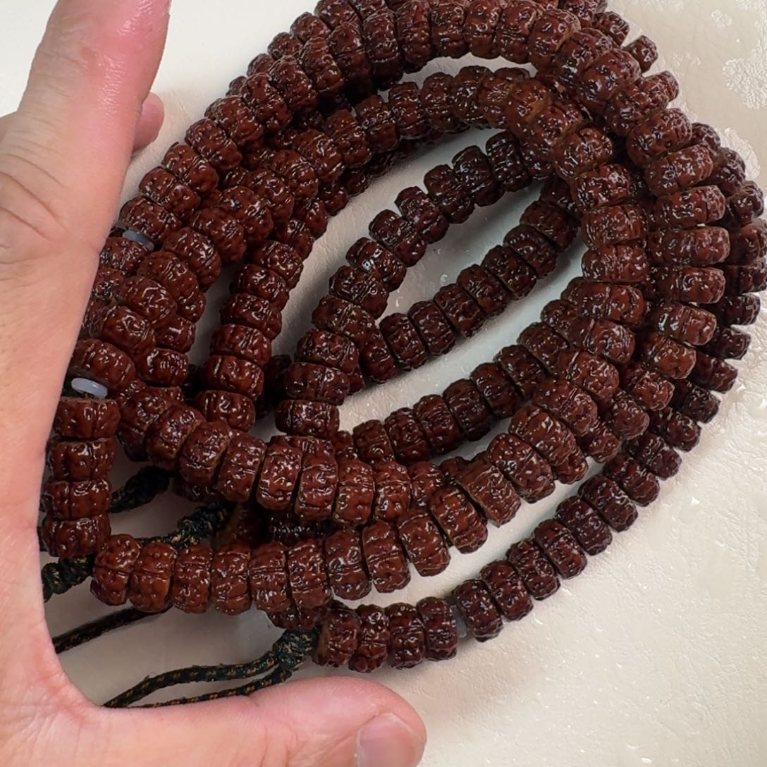 金刚菩提吊坠12小毕业龙切独