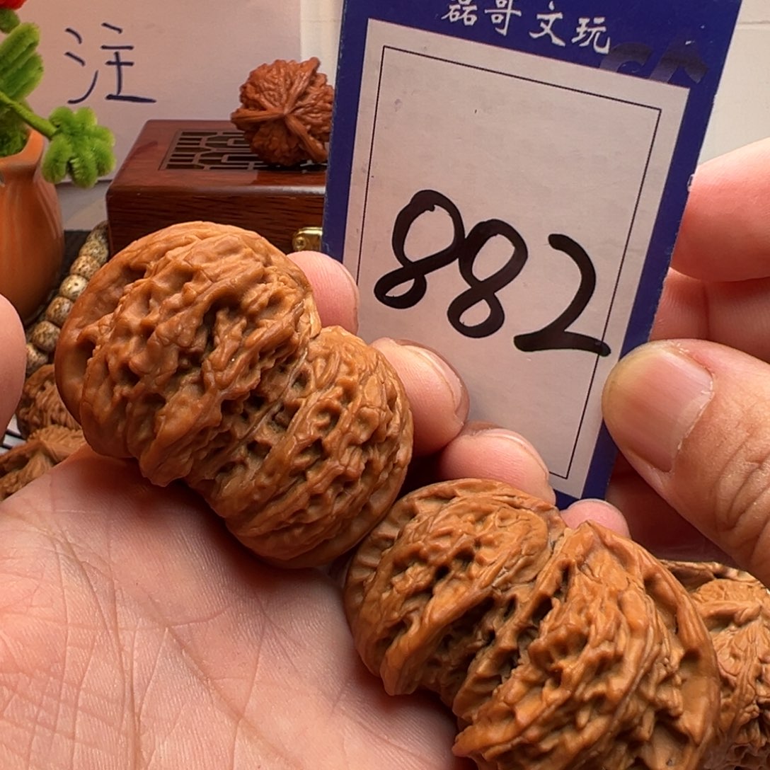 文玩核桃把件白狮子球连体49尺寸882号