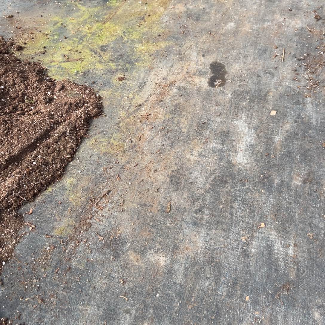 袋肥一份多肉13.8