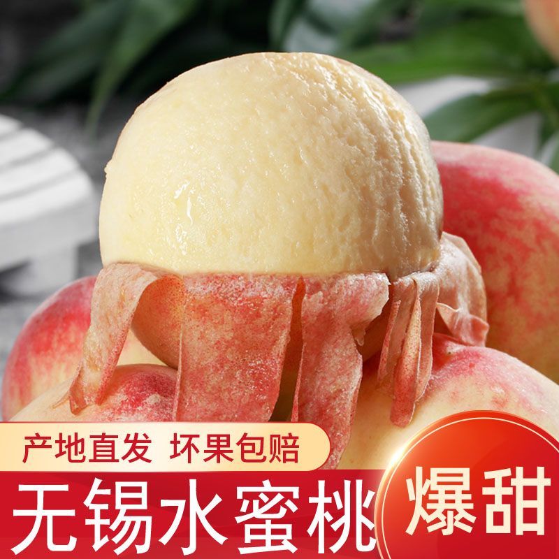 【拍一箱送一箱】正宗无锡水蜜桃汁多香甜产地直发可直接剥皮吃可口