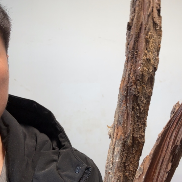 云***海有机玻璃太行崖柏