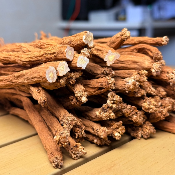 贵州威宁特产小条黄党参农户自然晾晒（小条）