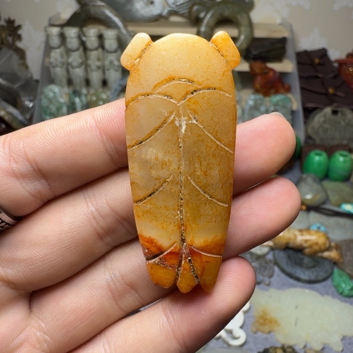 直播放漏专属链接