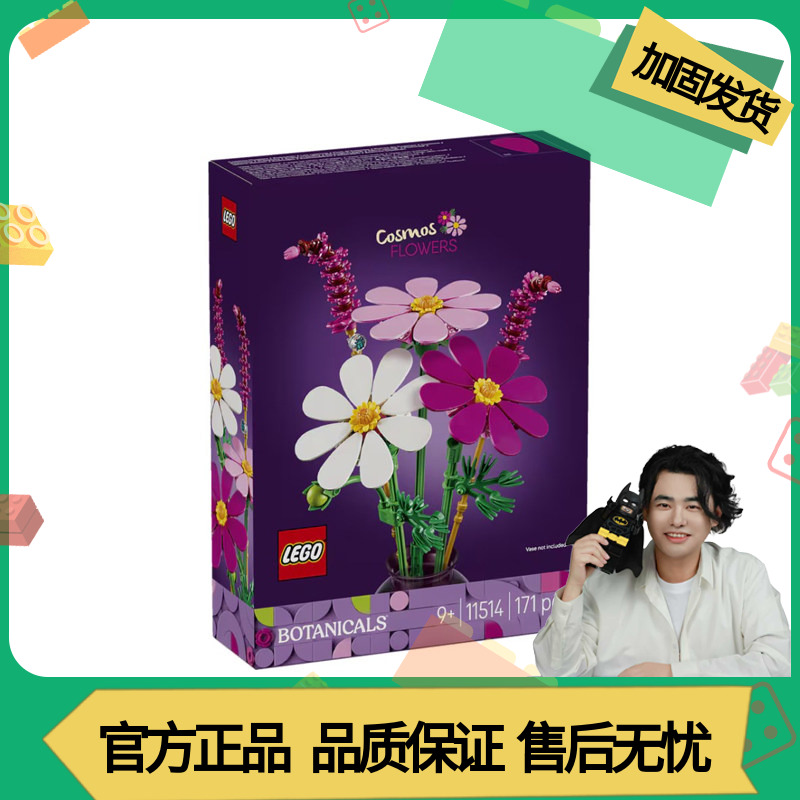 LEGO乐高植物花束系列11514波斯菊永生花男女孩拼搭积木玩具礼物