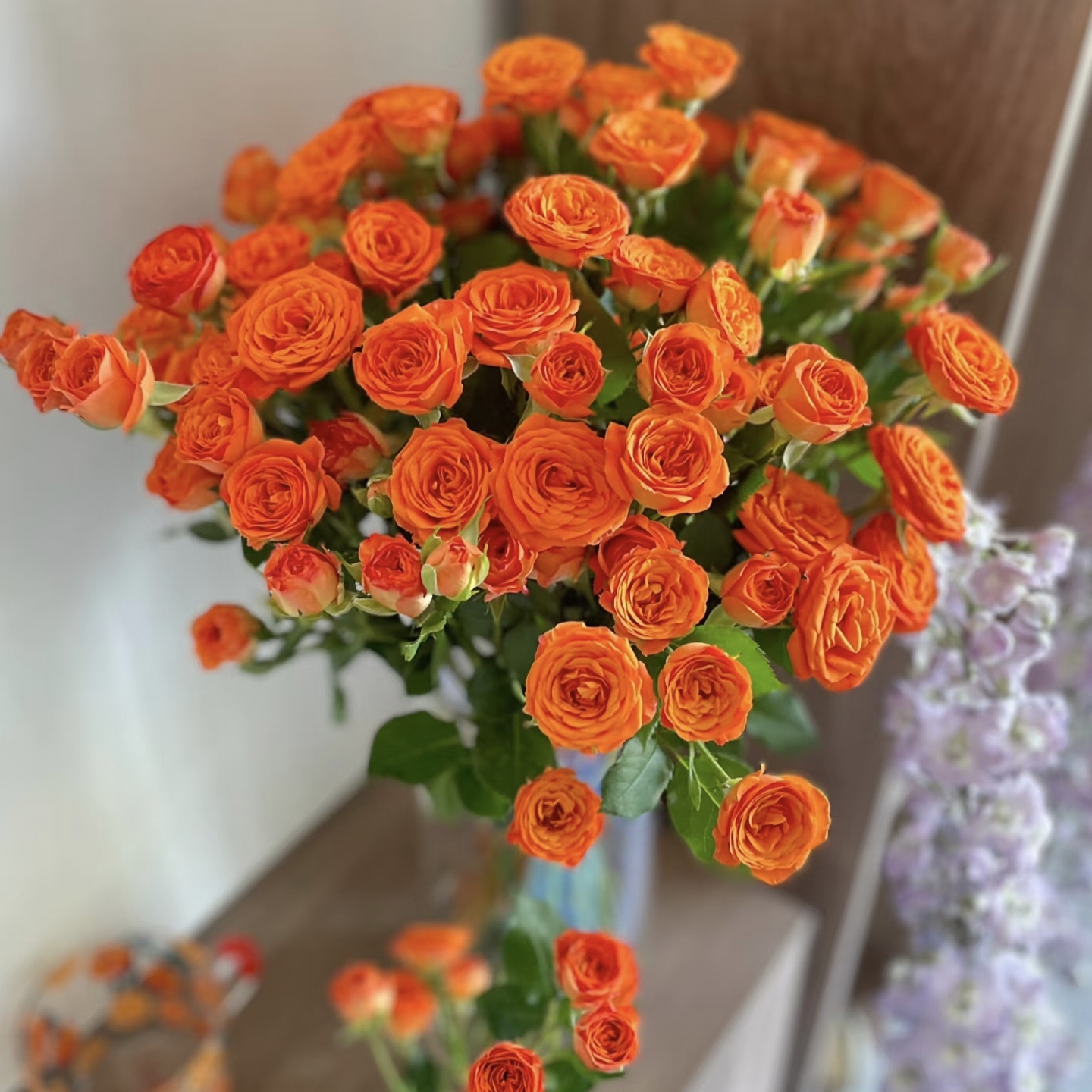 橙芭比多头泡泡玫瑰 云南基地直发水养鲜切花