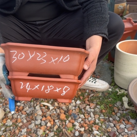 红陶紫砂花盆盆景盆栽