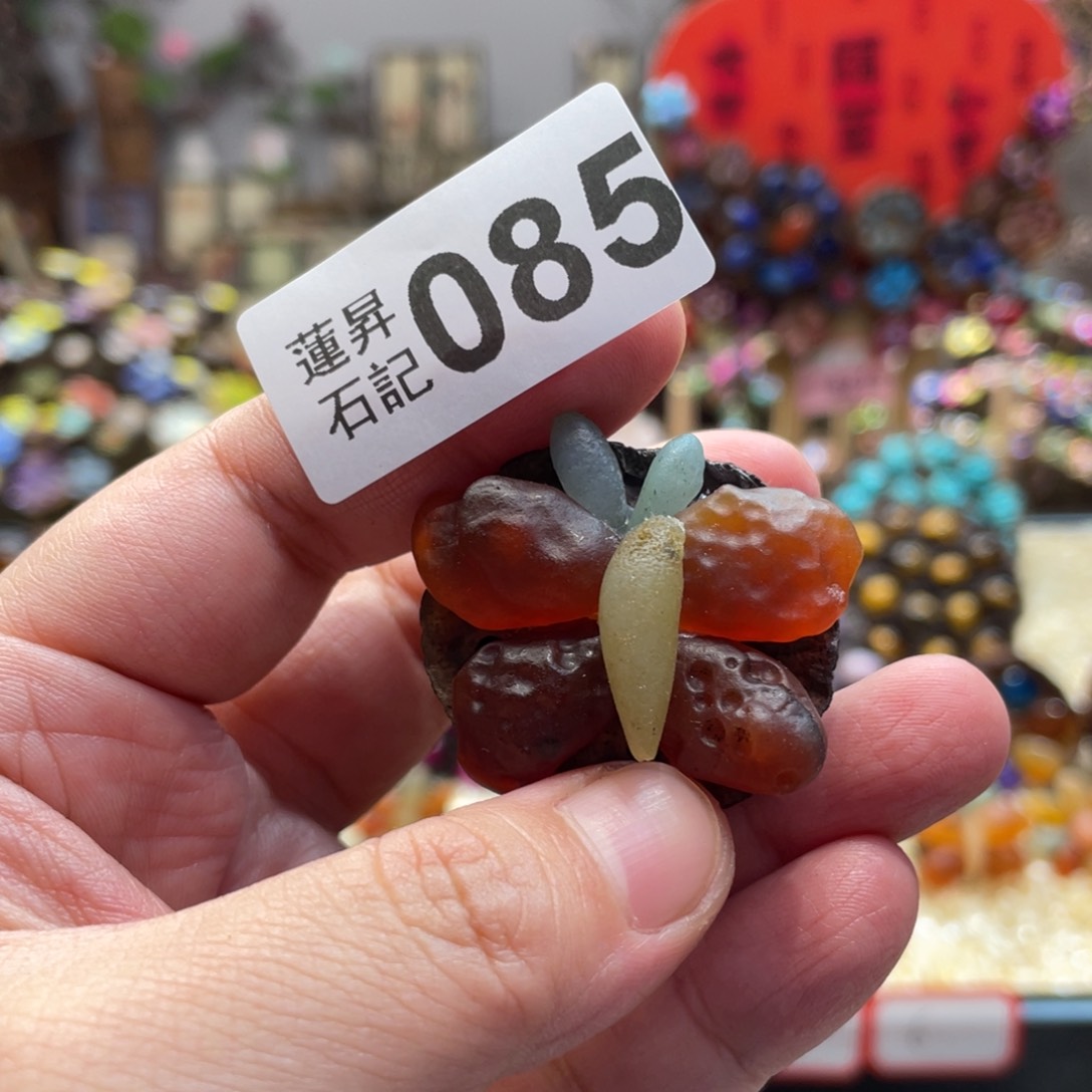 核桃木/黑胡桃（胡桃木）果*085