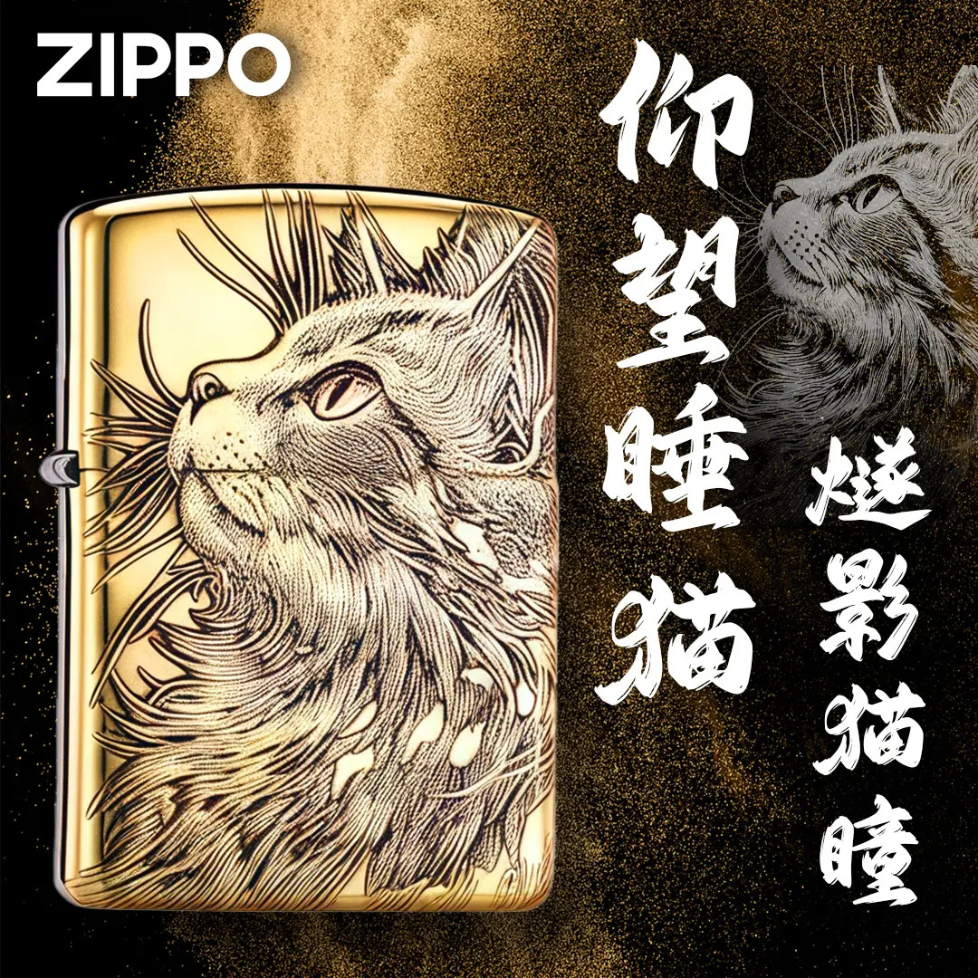 Zippo仰望星空猫鹰皇纯铜盔甲浮雕男士个性礼物正品防风打火机DY