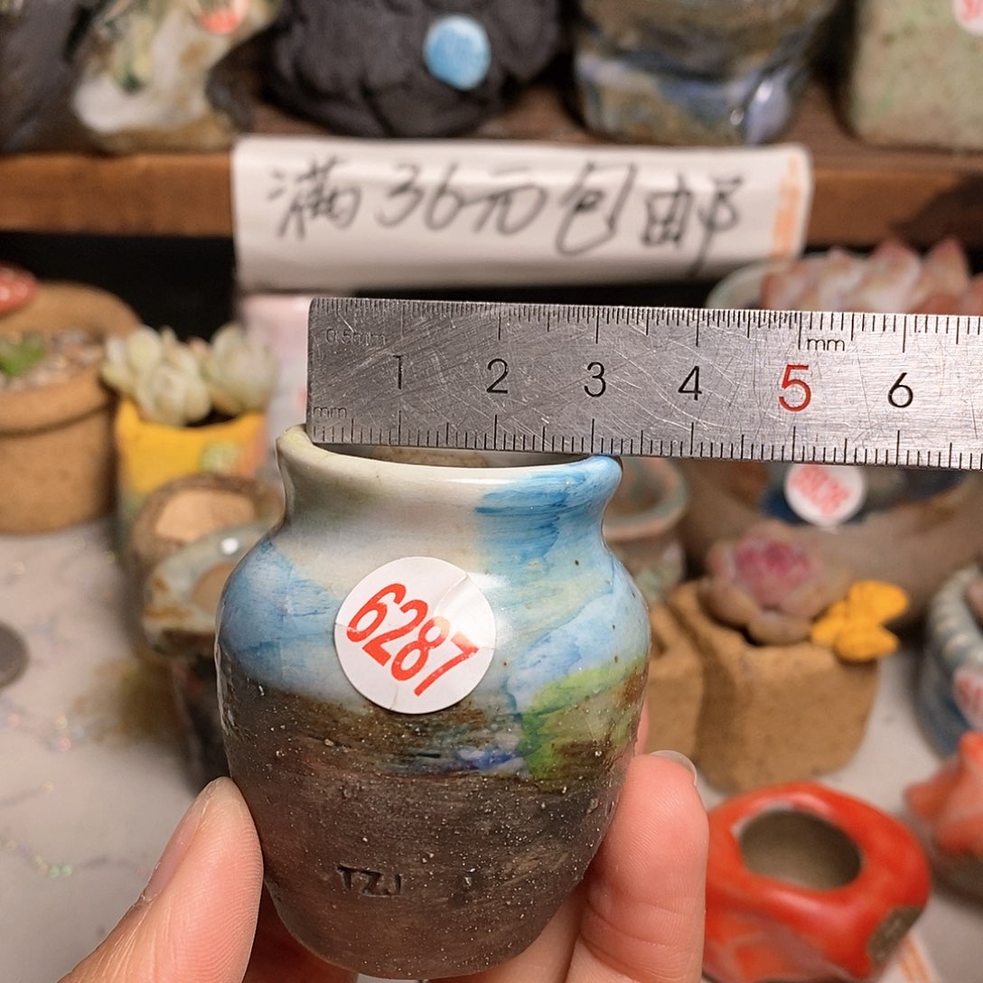 红陶拍5送一个小