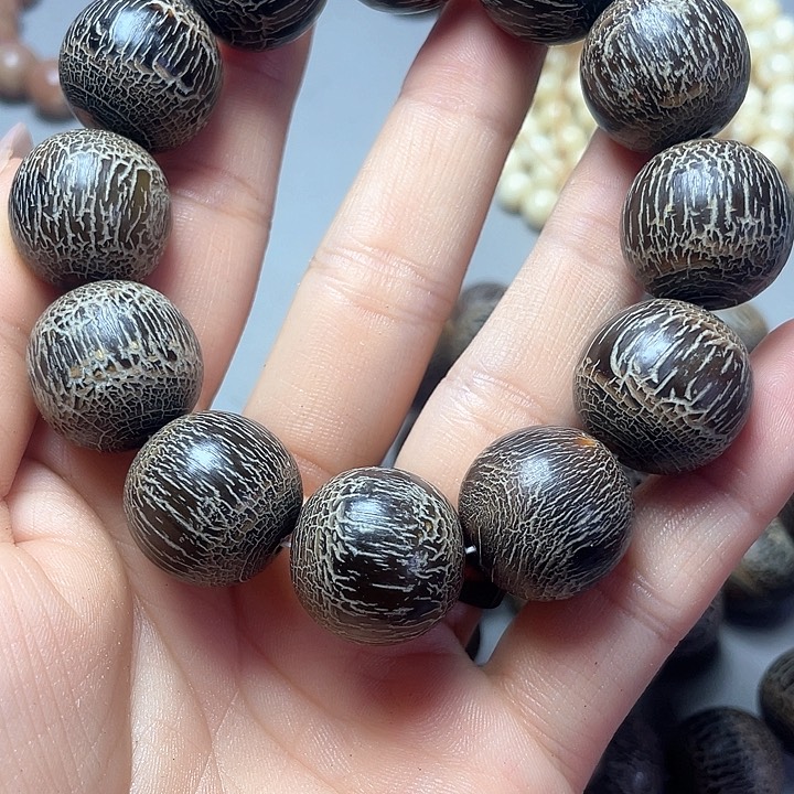 大果紫檀（缅甸花梨）