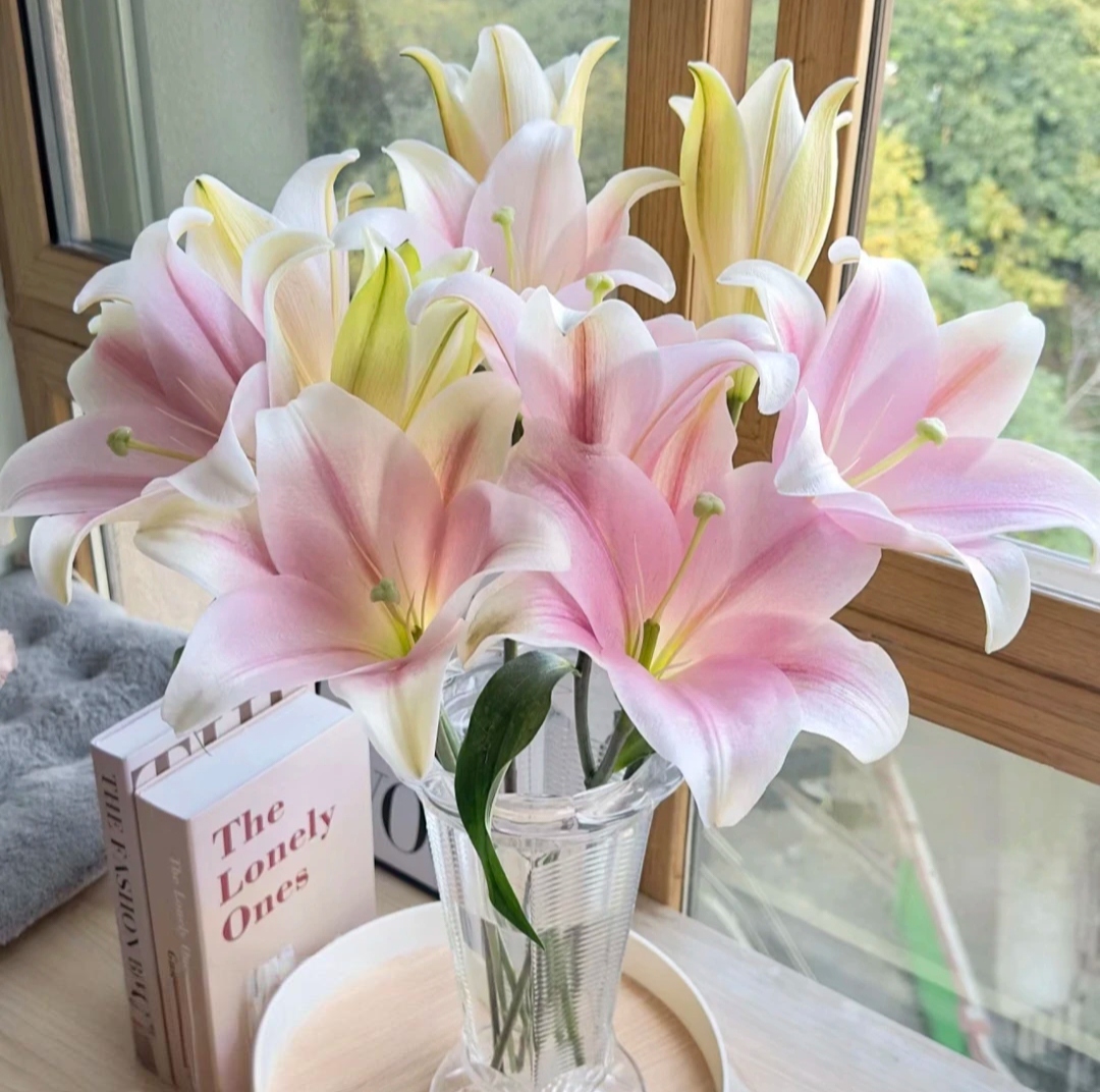 【云霄花卉】【粉铁炮百合】木质清香型【任意两单顺丰冷链包邮】