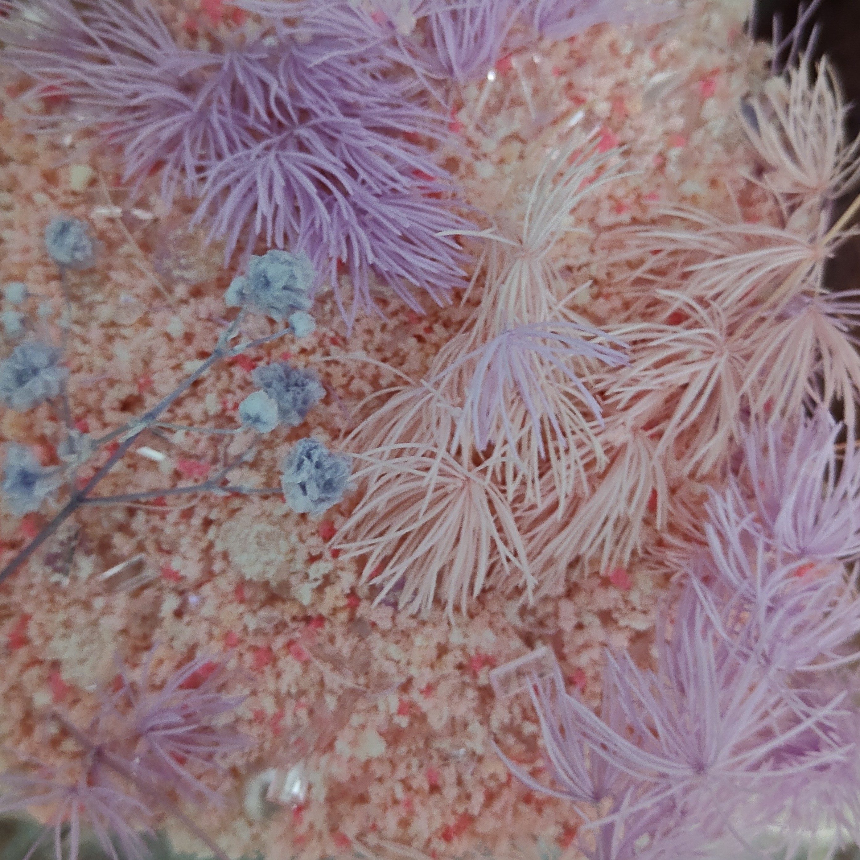 花泥干花特调diy造景立体手账材料