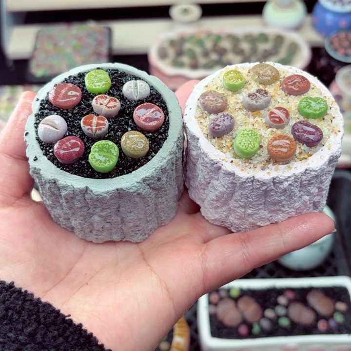 112零下地区记得拍保温箱