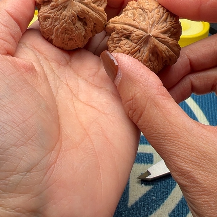 桃核吊坠瀅文玩核桃玉尊