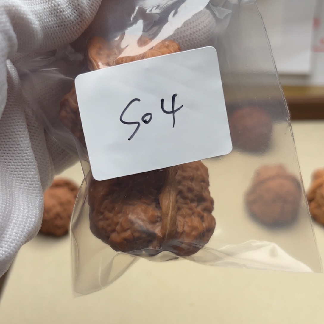 文玩核桃吊坠蛤蟆s04