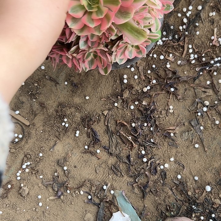 法师一物一拍链接220