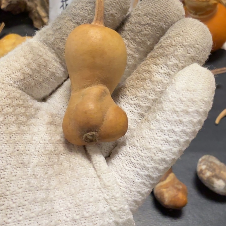 金***娃6666666777778888888