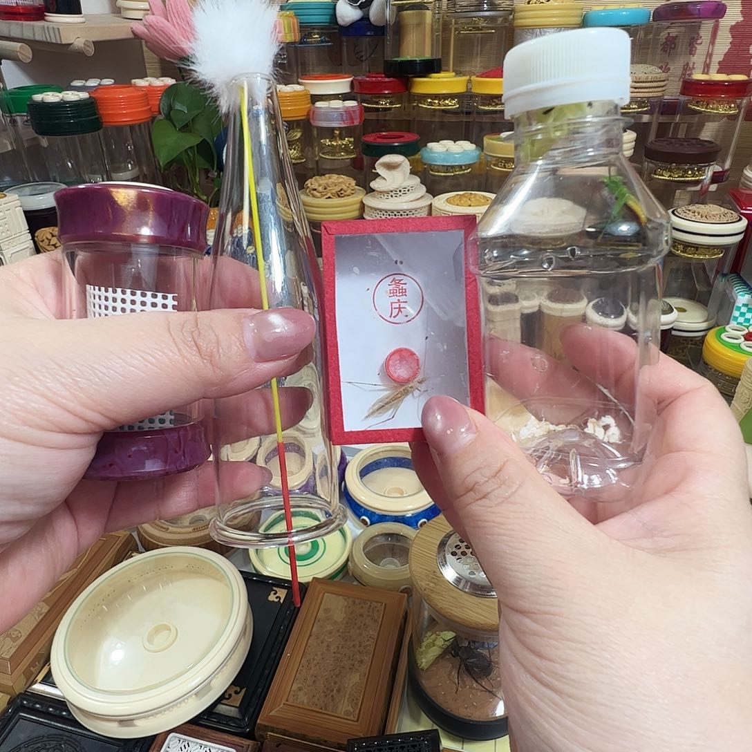 荒***狼哈哈哈高筒竹岭套装➕糖果