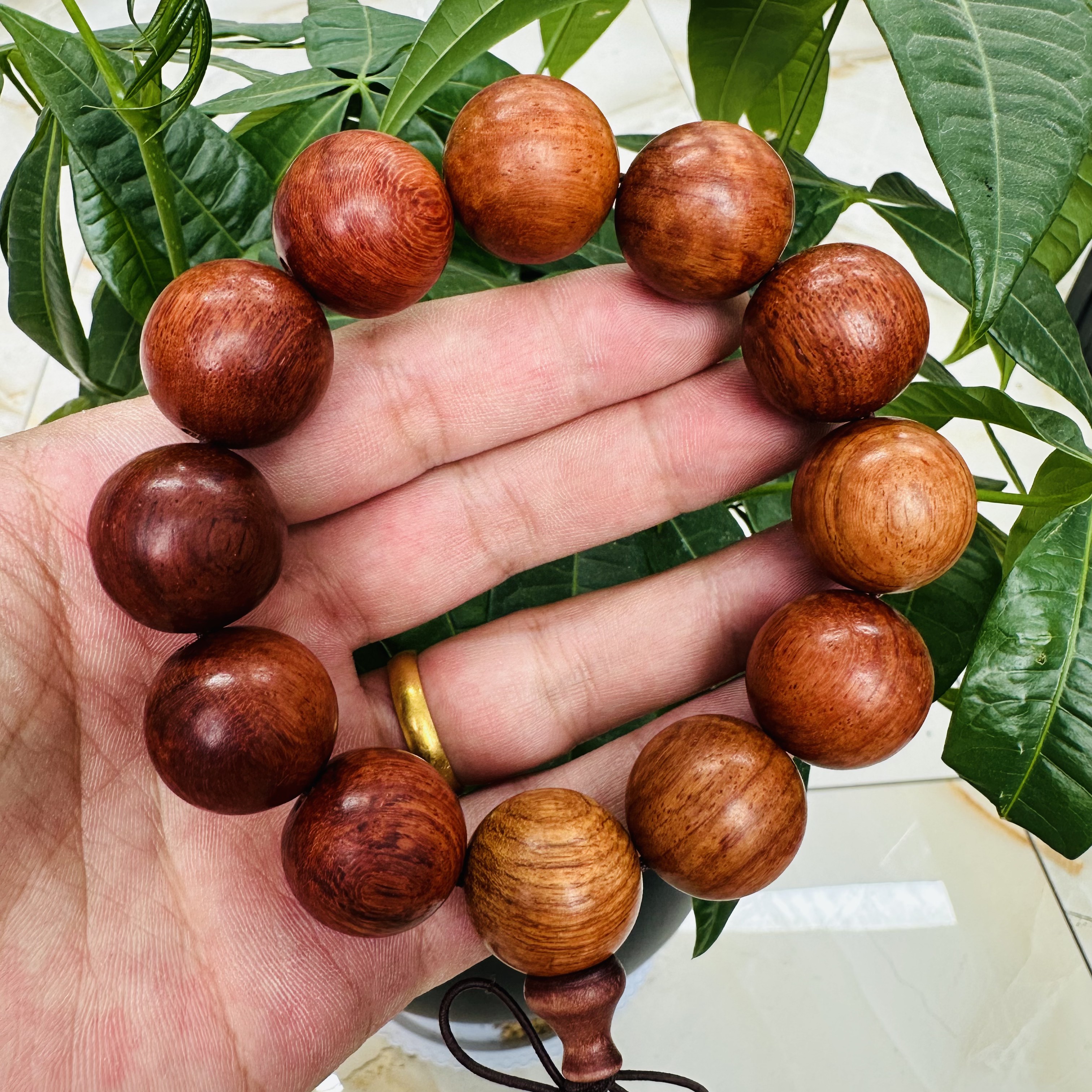 黄花梨单圈手串HH-2609无礼盒