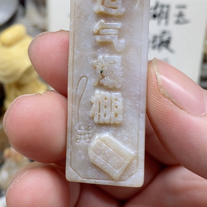 颈饰未镶嵌硅化珊瑚（珊瑚玉）