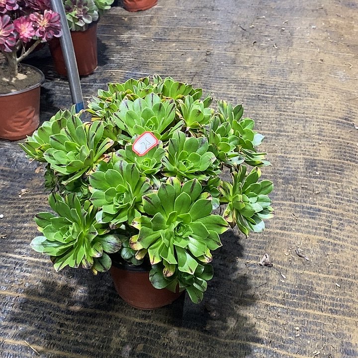 25，碧火1355778999000