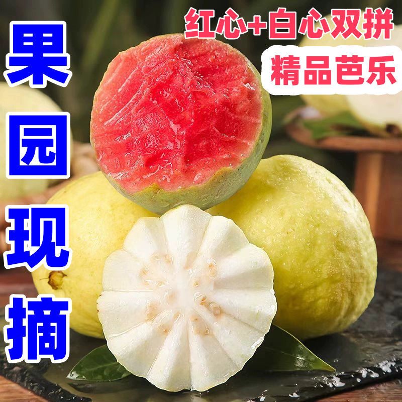 红心芭乐黄金奶油软糯芭乐胭脂红番石榴软心香甜新鲜水果