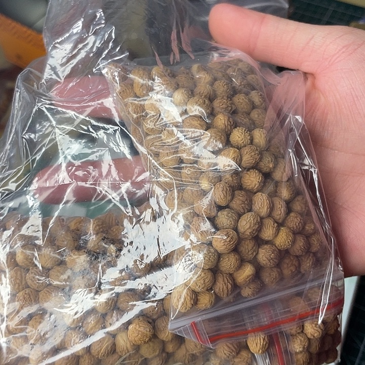吊坠凤眼菩提国产小凤眼菩提酸枣核大粗皮