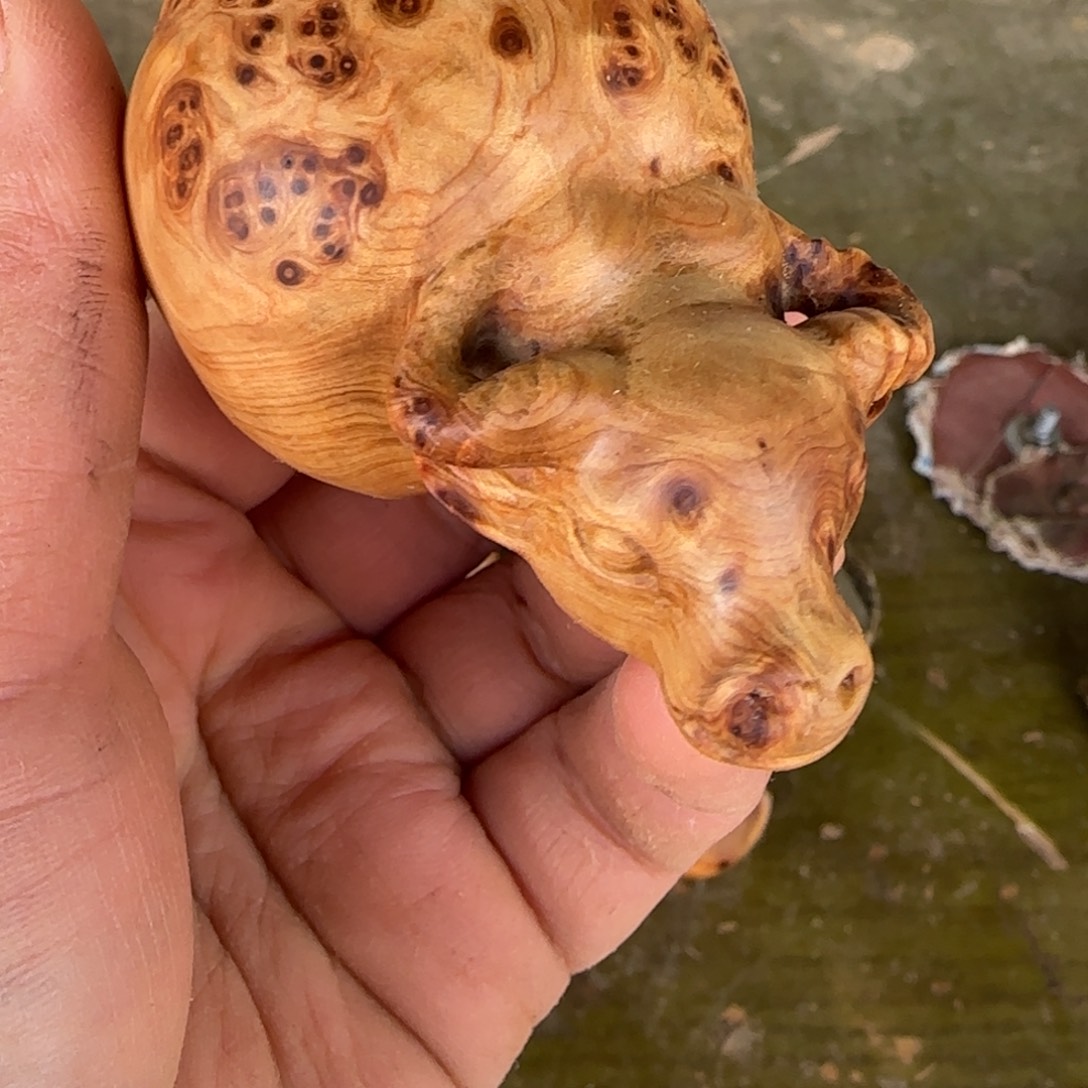 无事牌柏木太行崖柏