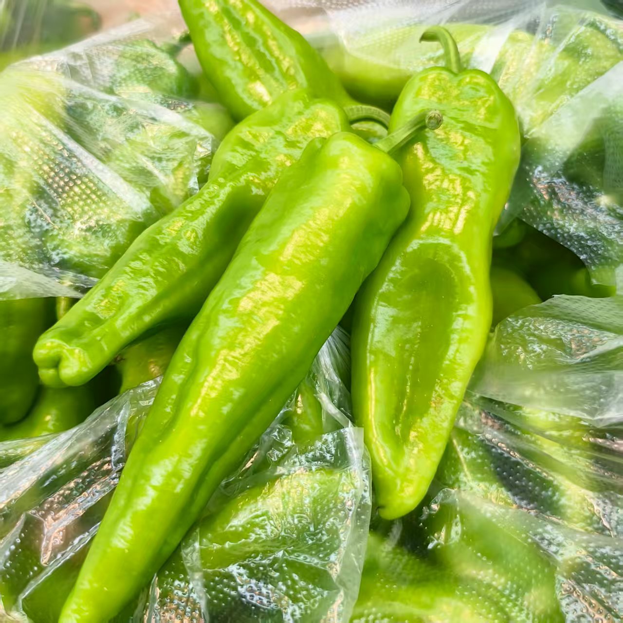 【彬彬专属】【顺丰包邮】农家自种辣椒新鲜现摘1.5斤尖椒