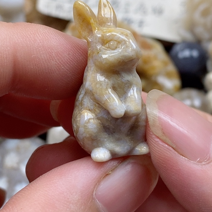 颈饰未镶嵌硅化珊瑚（珊瑚玉）