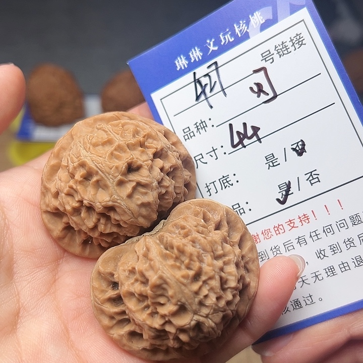 核桃种植户已近427