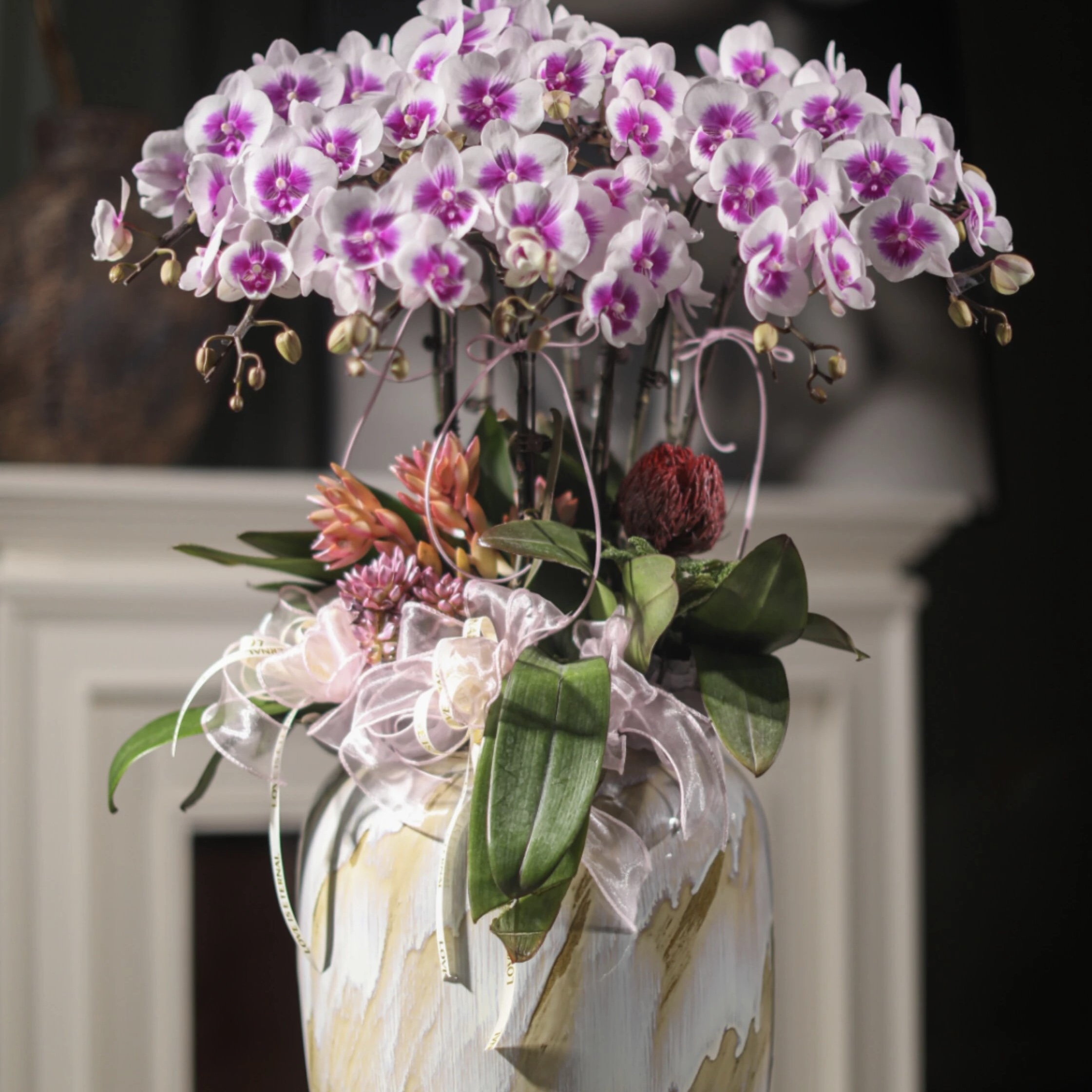 F13红双喜年宵花蝴蝶兰盆栽（内含6株中花型，太原市中环内配送上门）