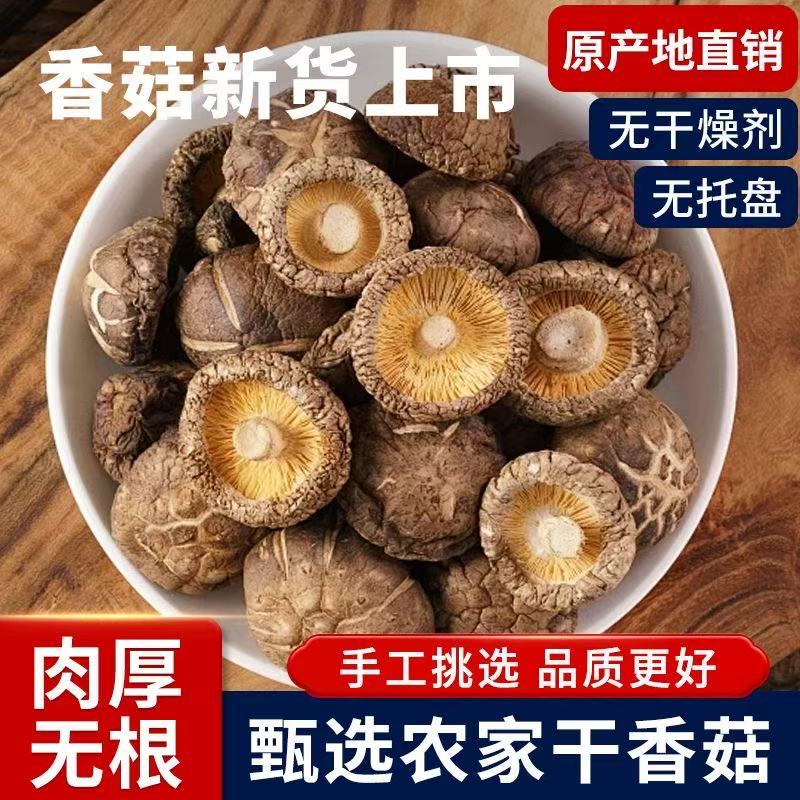 庆元金钱菇高山小香菇蘑菇肉厚无根新鲜烘干货小冬菇头茬庆元香菇