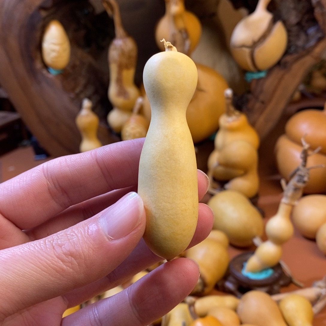 诸***意教练路途考虑途径