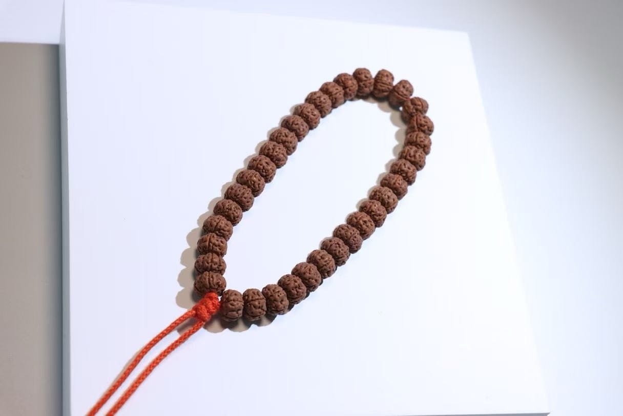 定制任何尺寸纯血矮桩老树王