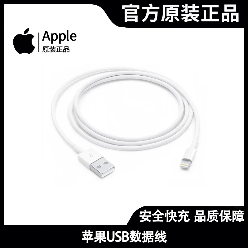 准新品 Apple/苹果 闪电L口转USB手机原装数据线通用ipad传输1米商品图