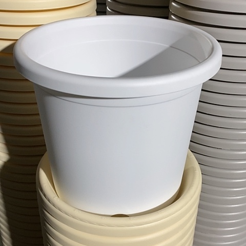 树脂四季4#无托纯白10个