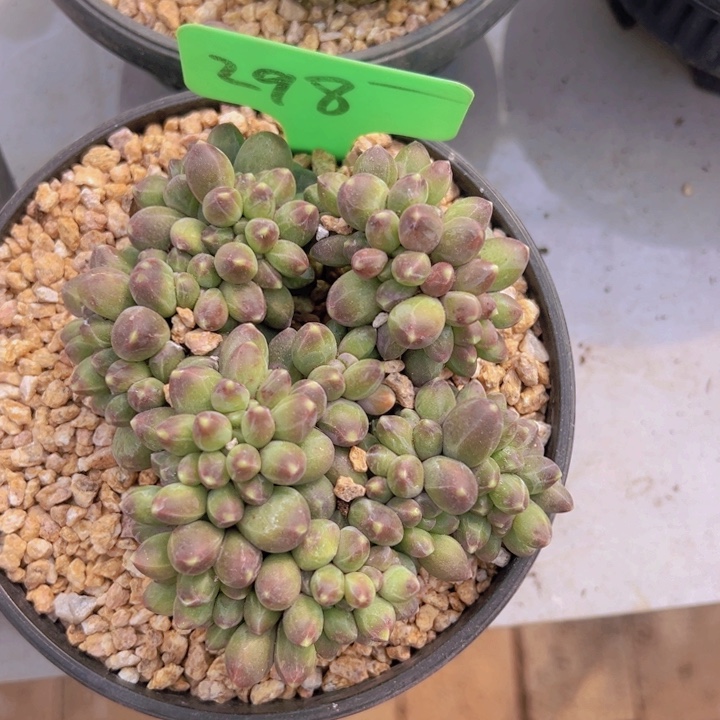 健健康康平平安安