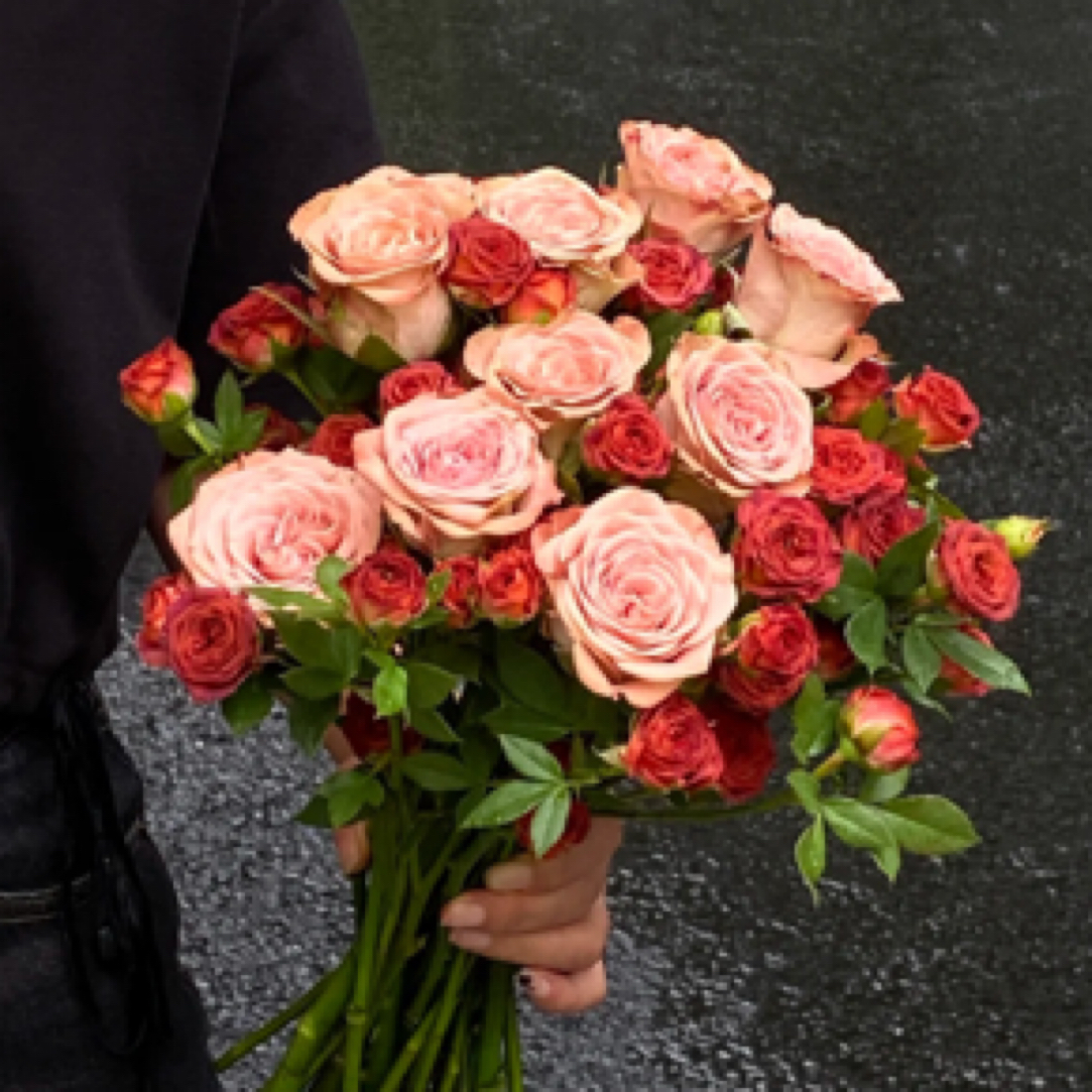 多头卡布➕巧克力组合 2单冷链包邮 巧克力易掉瓣