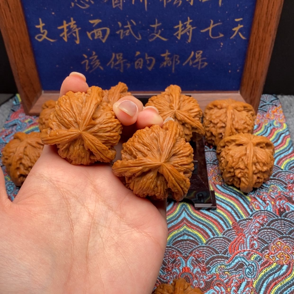 【闪购商品】一**人白狮