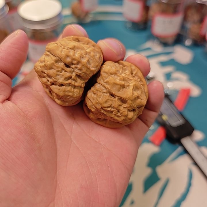 W***w文玩核桃蛤蟆41.5的啊