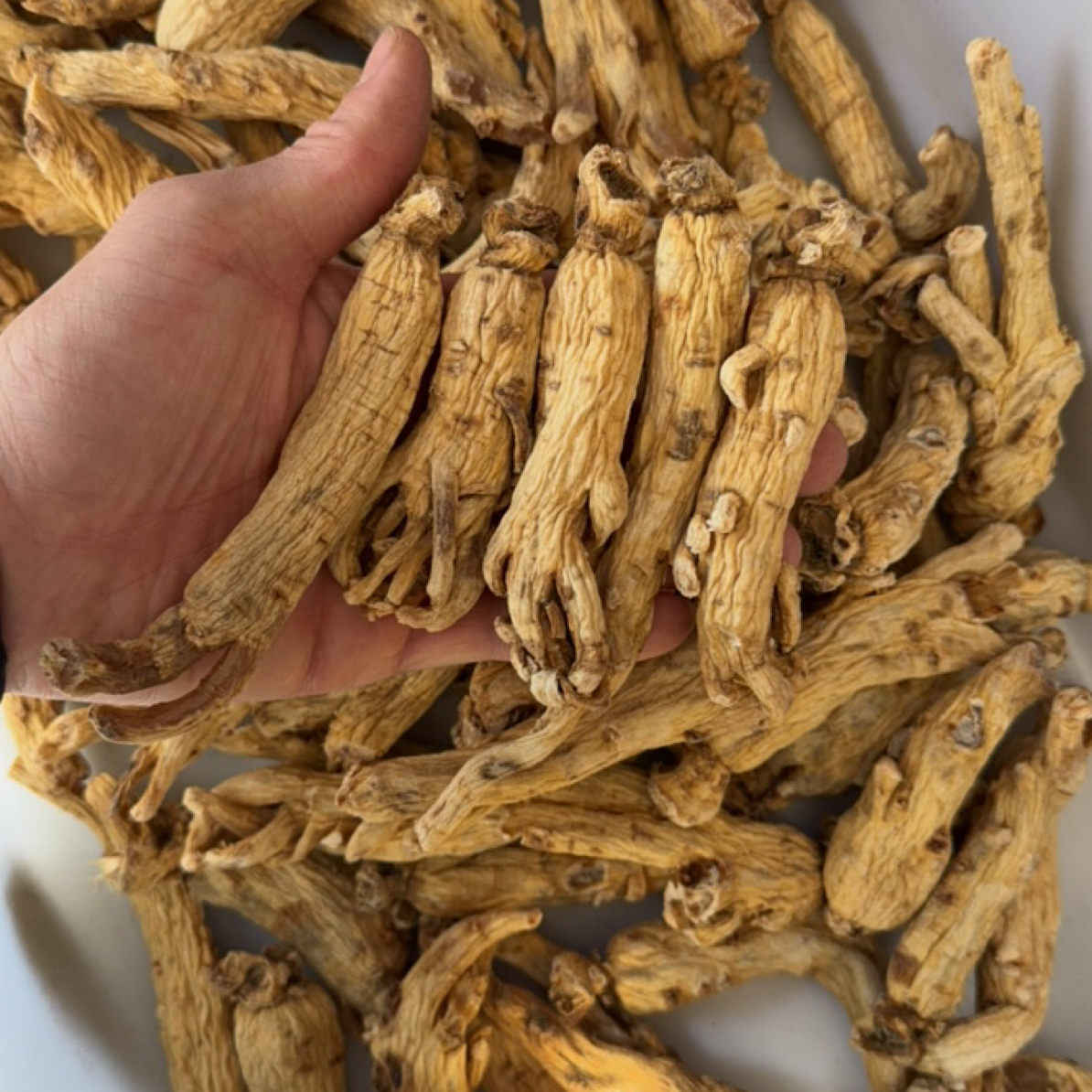 长白山无糖无硫太极参东洋参大力参