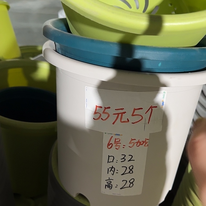 特价四季6号新灰白无托7个