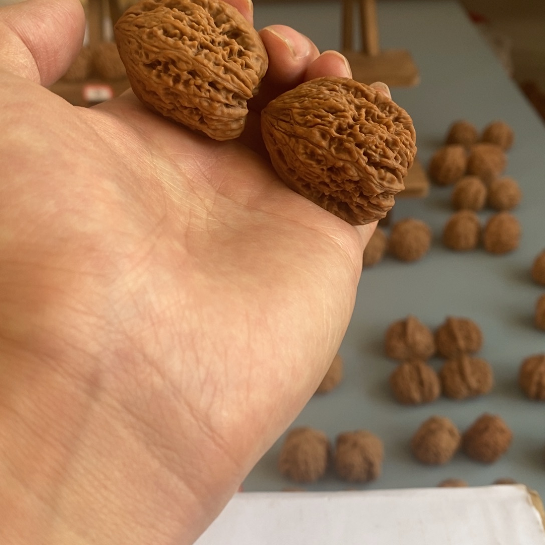 希***真木质类奥迪的一个小