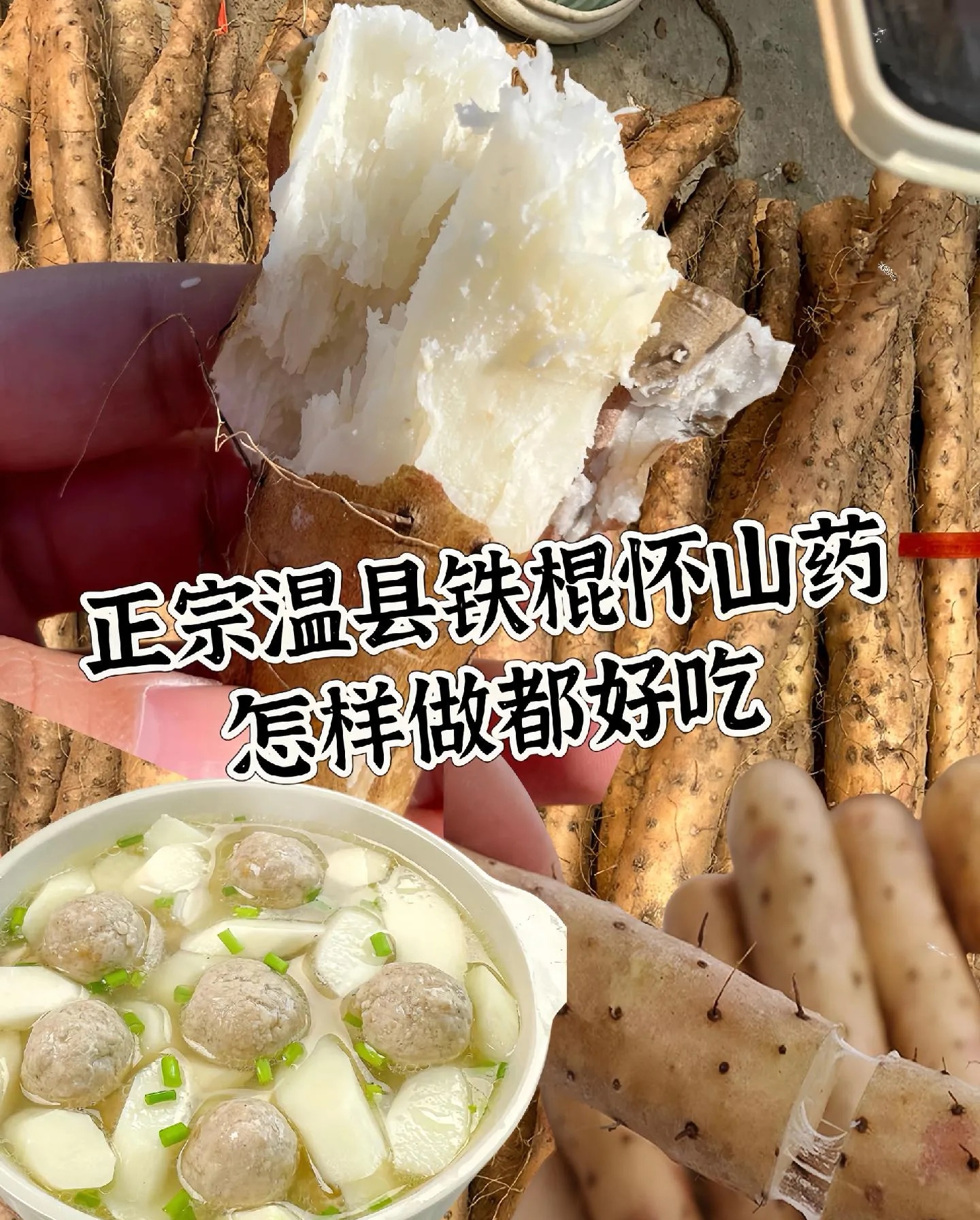 垆土铁棍山药（断果）