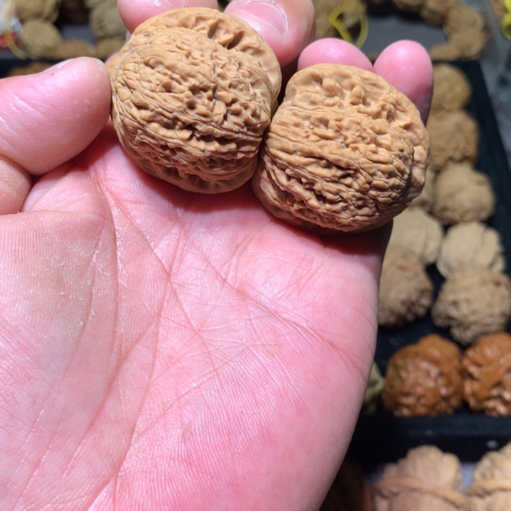 文玩核桃吊坠39泥鳅全品